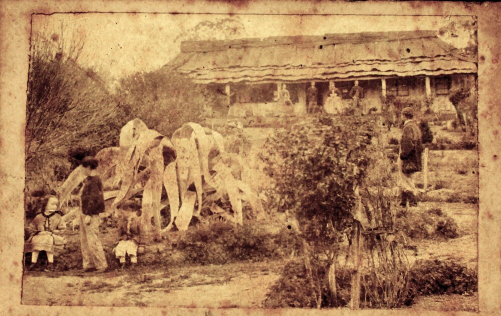 Front view of house and garden, Beverley, Bundarra