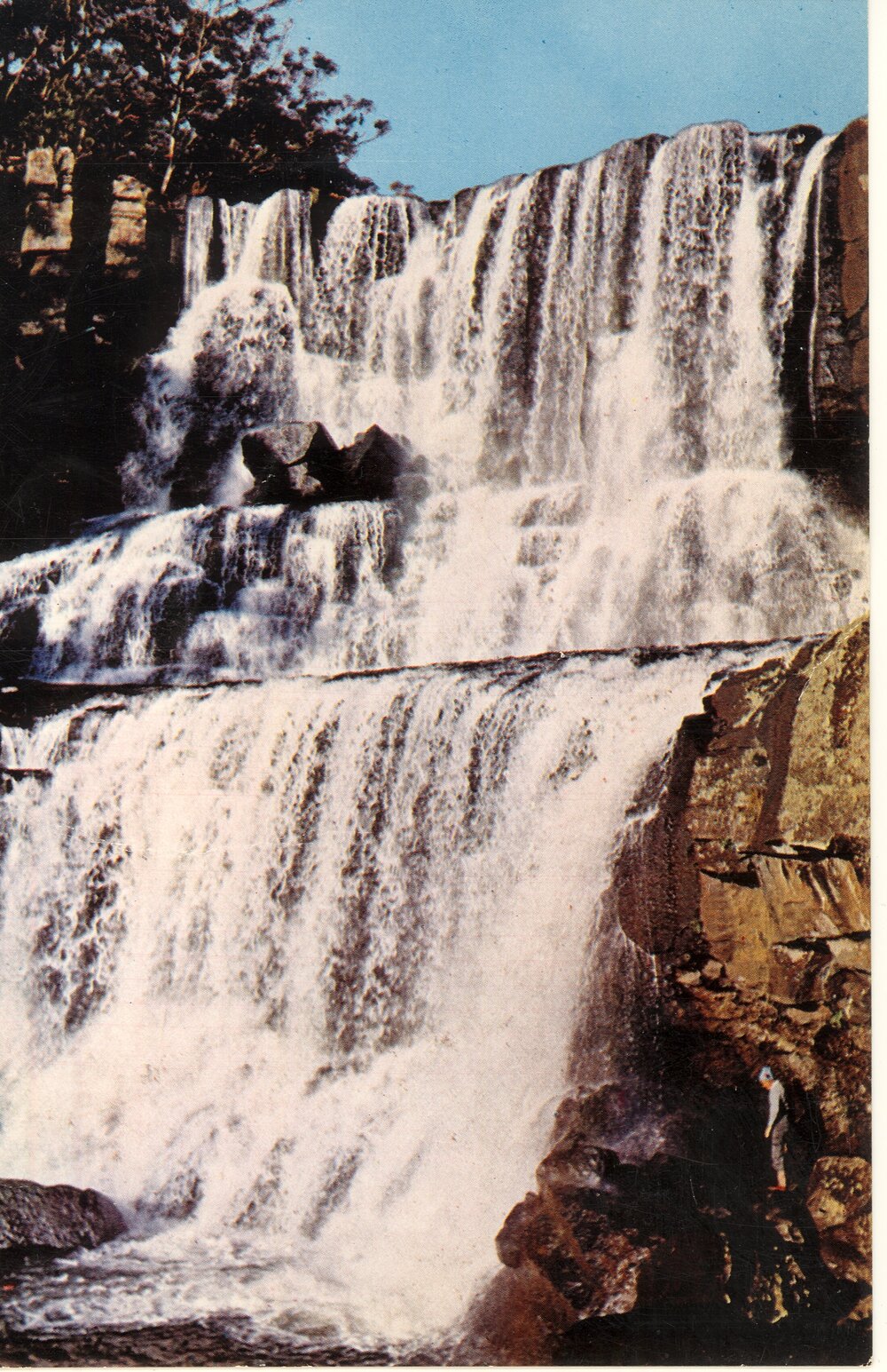 Ebor Falls, 1965