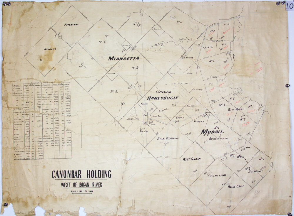 Nyngan District, Cannonbar holding west of the Bogan River and paddock acreages