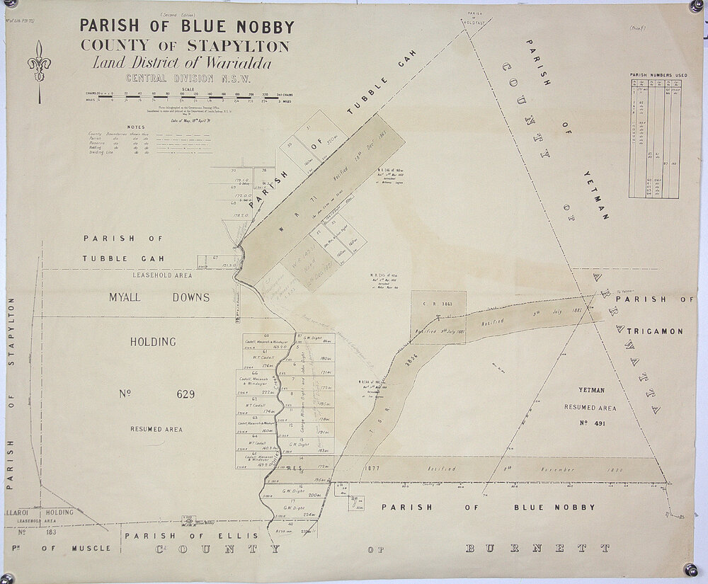 Parish of Blue Nobby County of Stapylton Land district of Warialda -shows T.S.R , 1891
