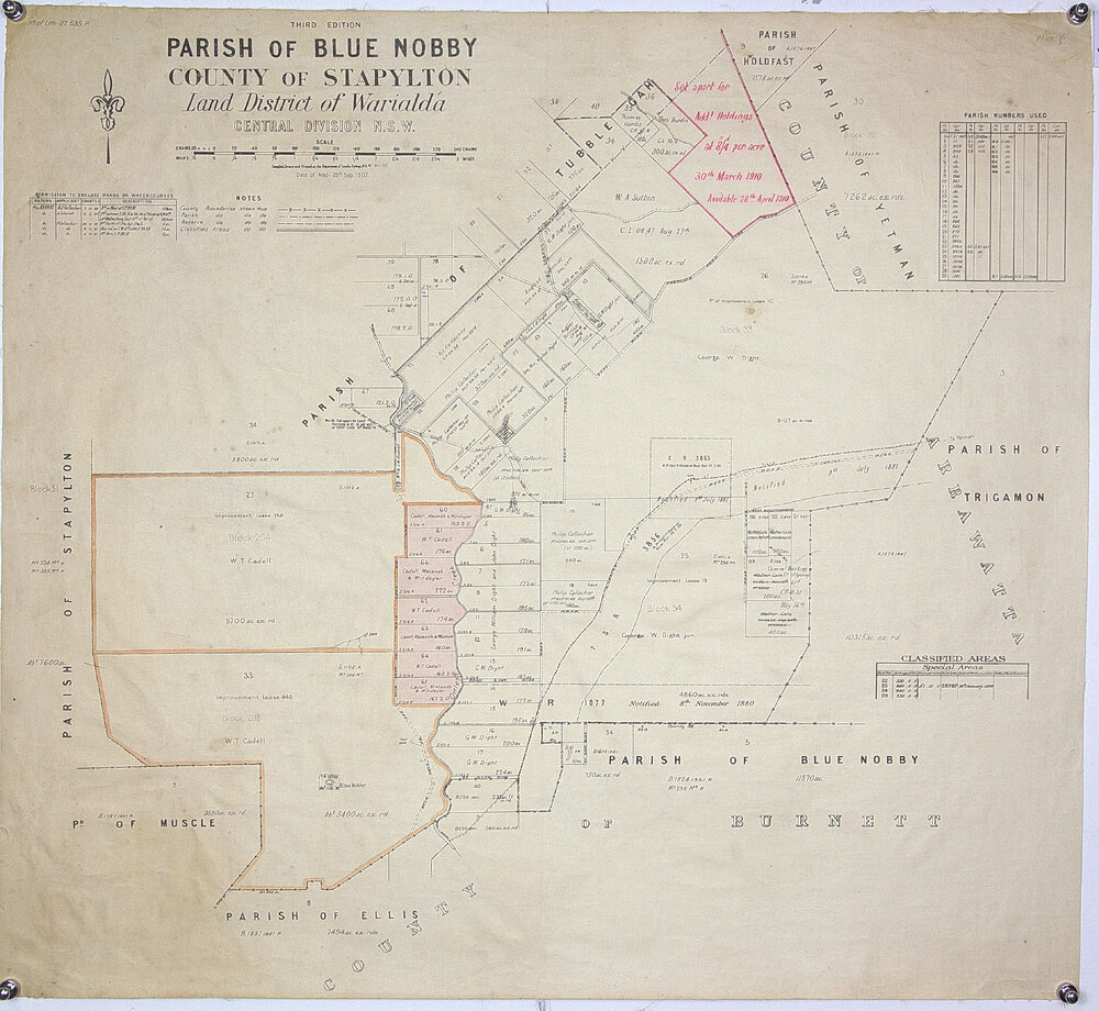 Parish of Blue Nobby County of Stapylton Land district of Warialda, 1907