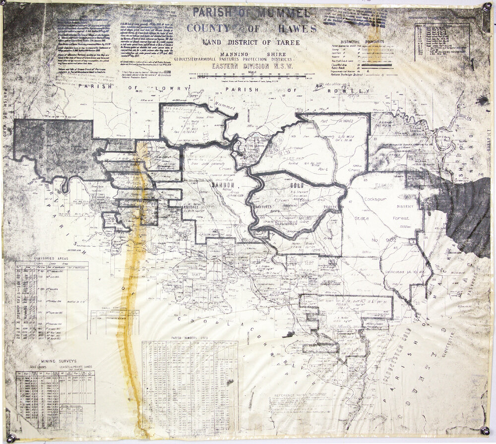 Manning Shire, Gloucester &amp; Armidale Pastures Protection Districts