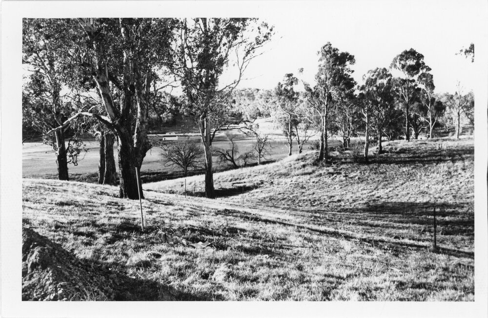 Open air Theatre behind Robb College, 1962