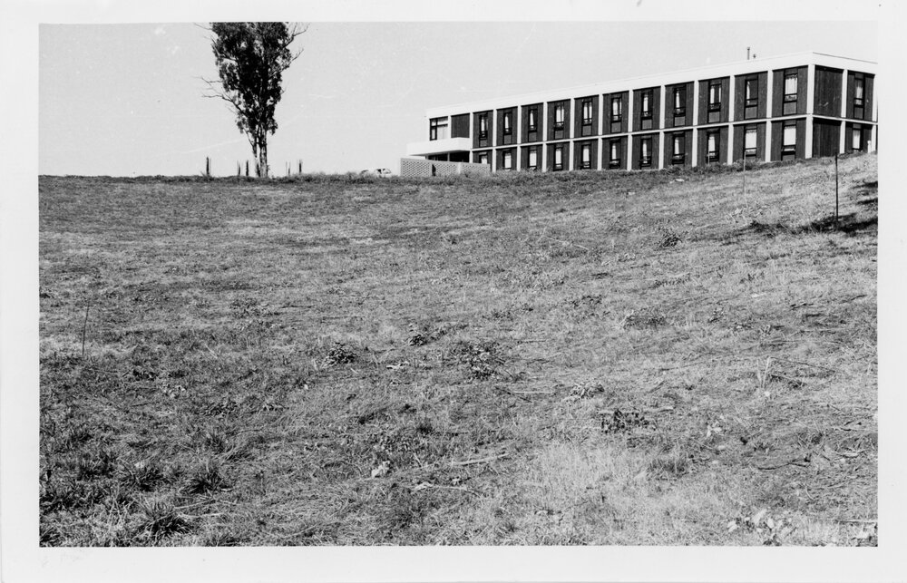 Open air Theatre site behind Robb College, 1962