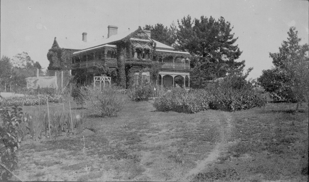 Saumarez Homestead, covered with vines, tennis courts