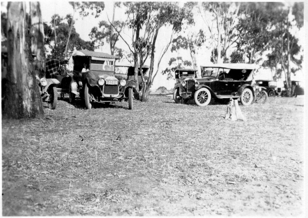 Cars parked among the trees, c.1930