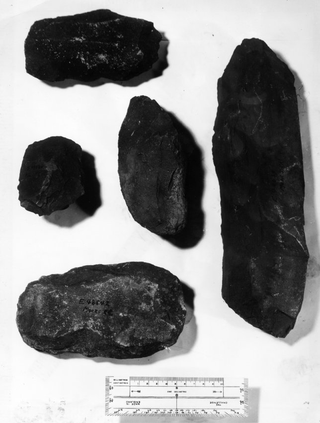 Stone implements from creek near Tamworth