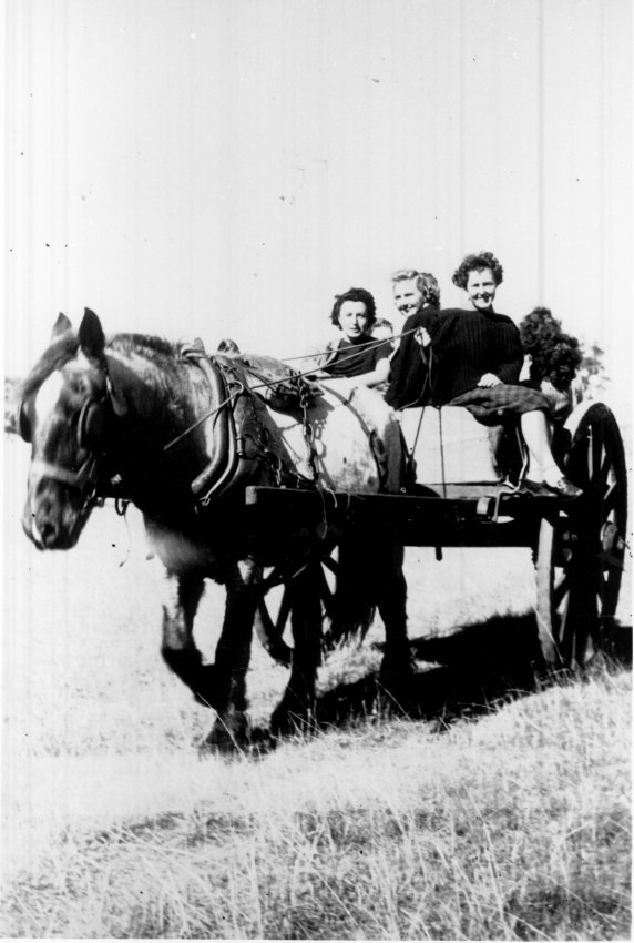 Horsedrawn cart and students NEUC, 1941