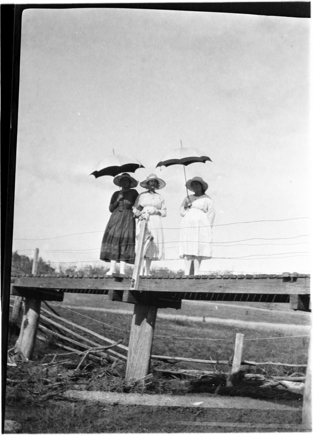 Three women standing on a raised boardwalk in a bush setting [Dora, Vera, and Clare Chamberlain]