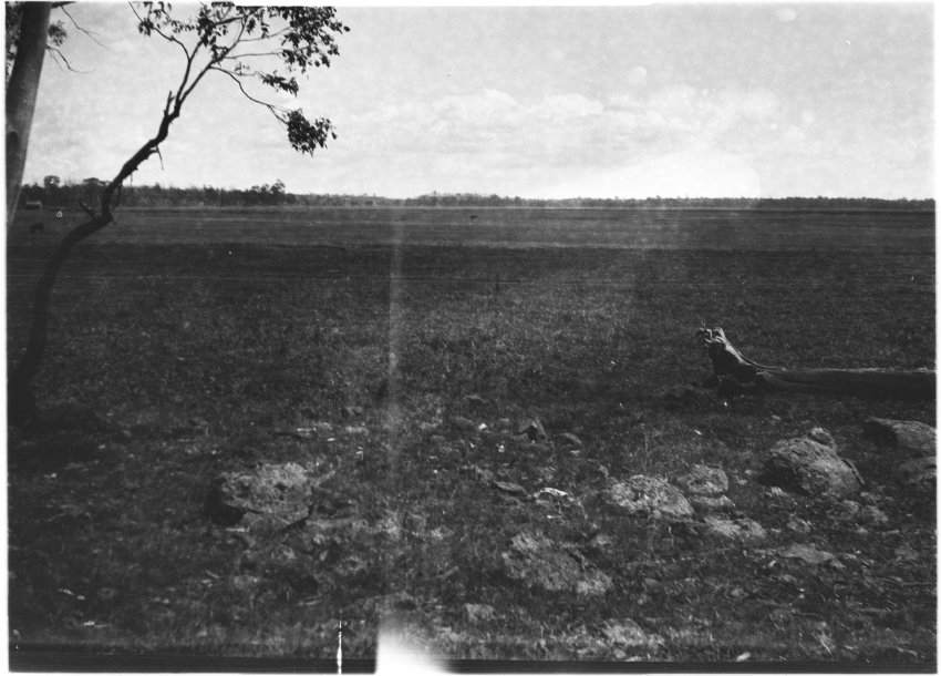 Unidentified paddock