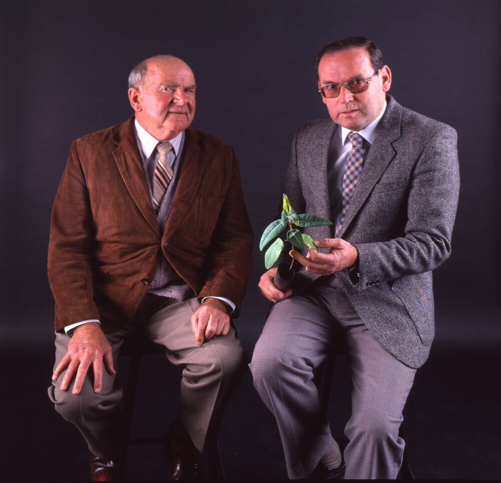 Fred Roberts and John [Stainton] in studio with sapling, 1992
