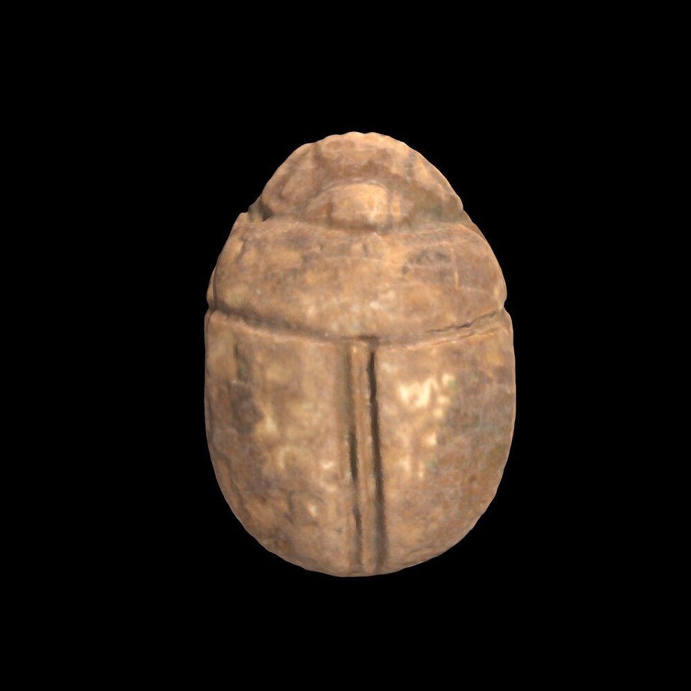 MA1963.2.1 Scarab from Hyksos Period
