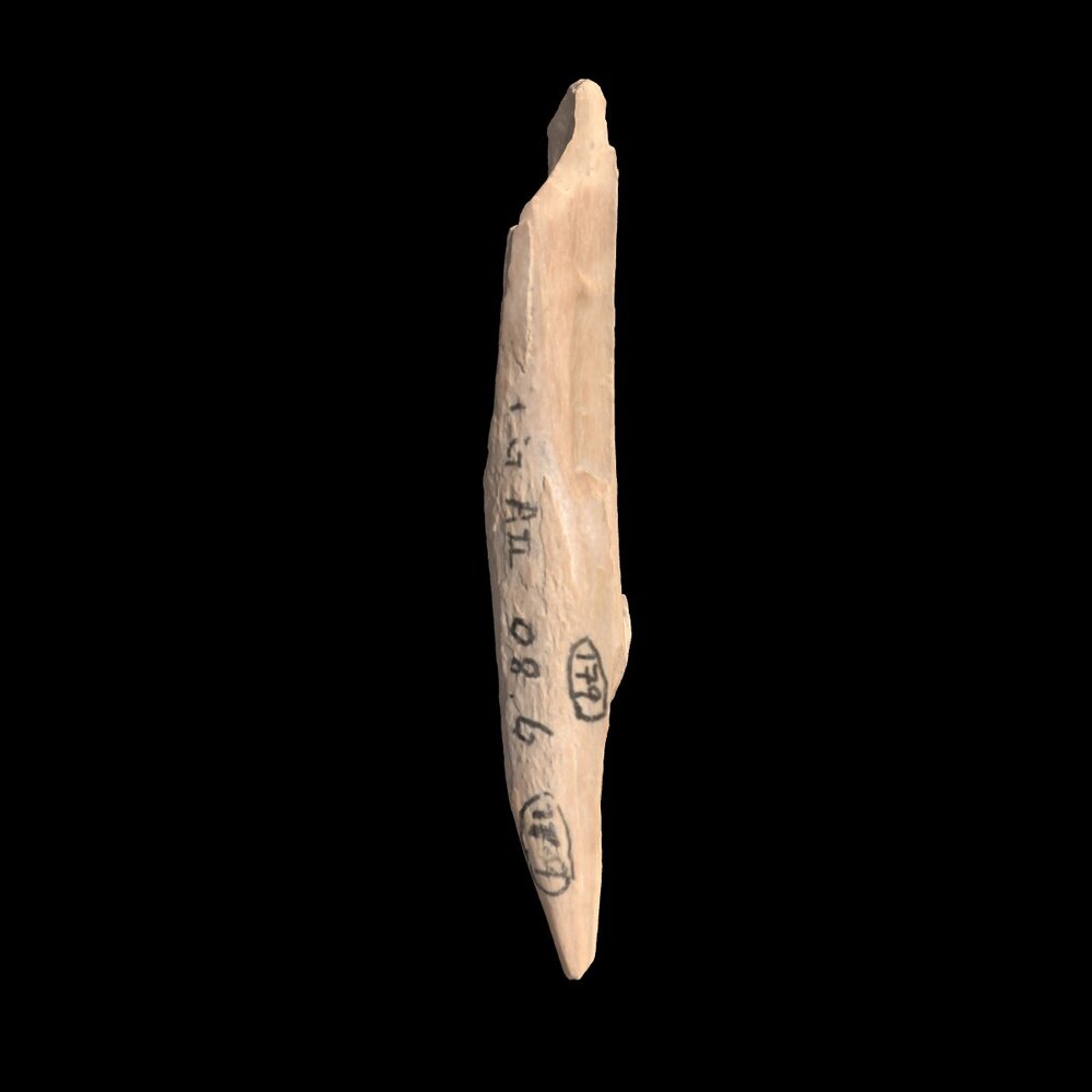 MA1976.7.2 Bone point