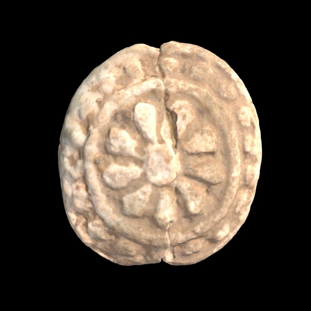 MA1978.11.2 Scarab