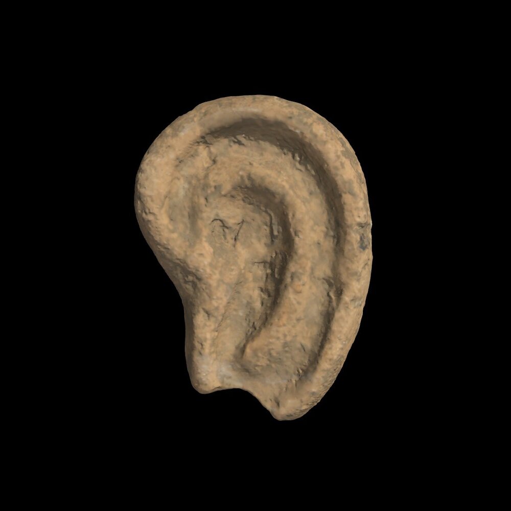 MA1982.5.8 Votive ear