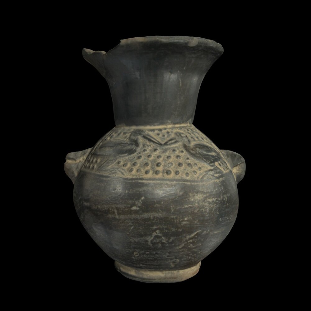 MA1975.11.1 Black-Ware squat vase with birds