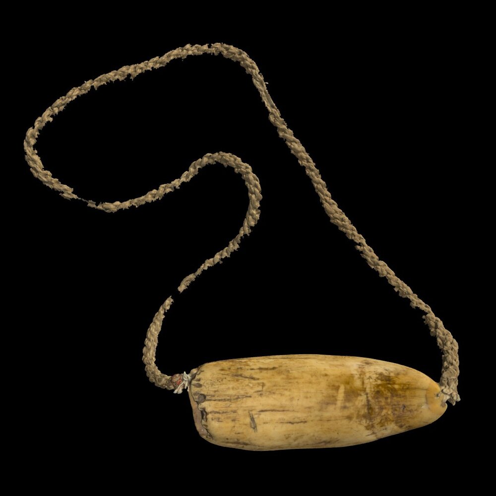 MA1995.2.2 Tabua (whale) tooth pendant