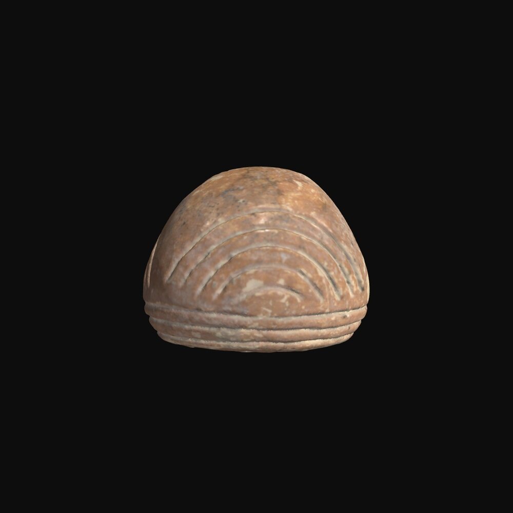 MA1974.11.1 Spindle whorl