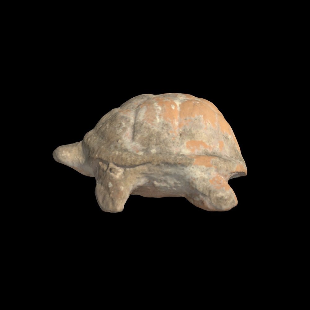 MA1978.54.1 Terracotta tortoise figurine