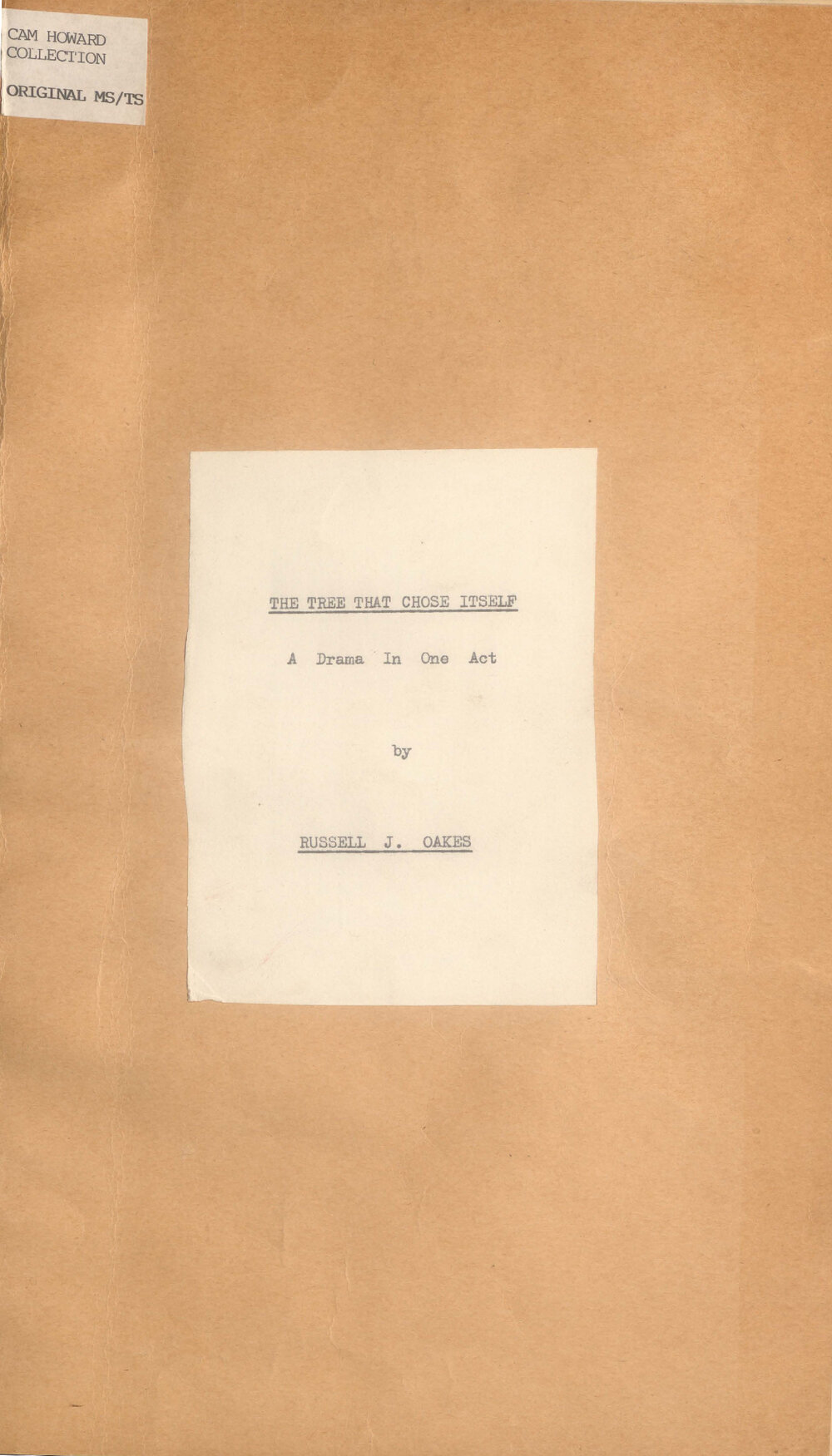 The Tree That Chose Itself