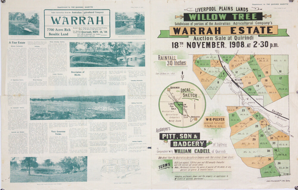 Warrah Estate, Willow tree. Auctioneer's sketch with general description of property and Lots 1-38 Aust Ag Co 