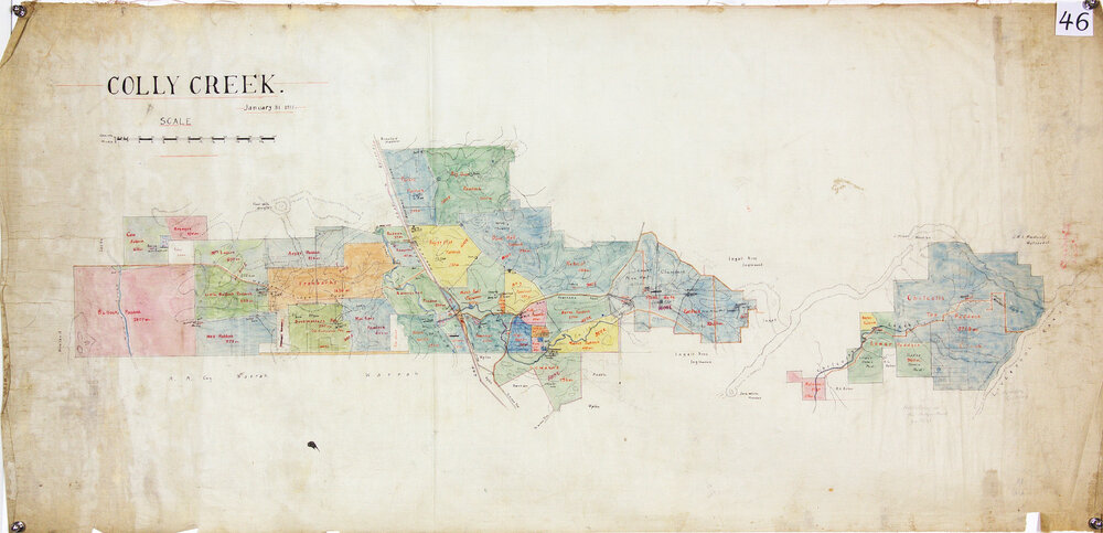 Colly Creek, January 31, 1911 