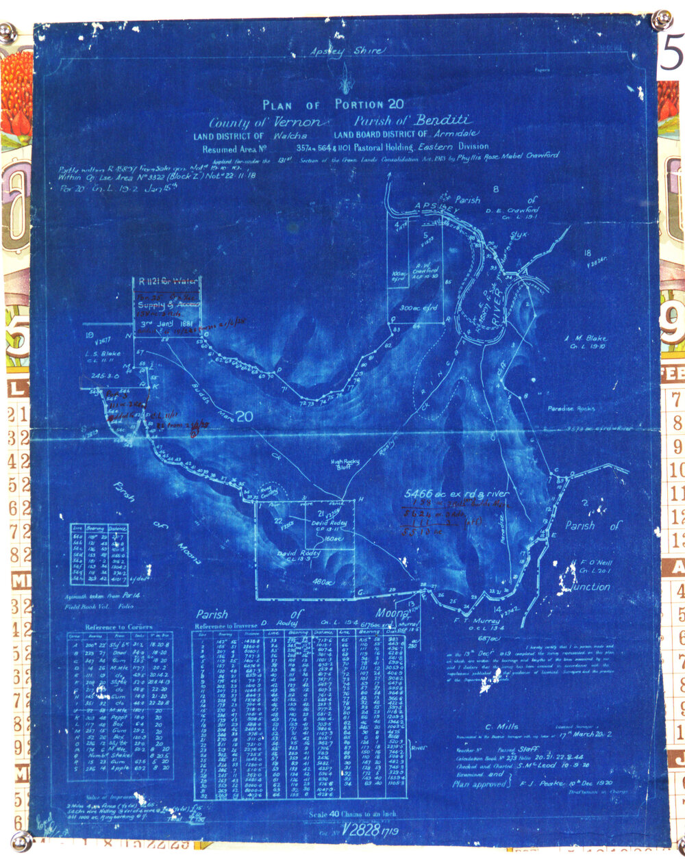 Plan of portion 20: resumed area. By C.Mills