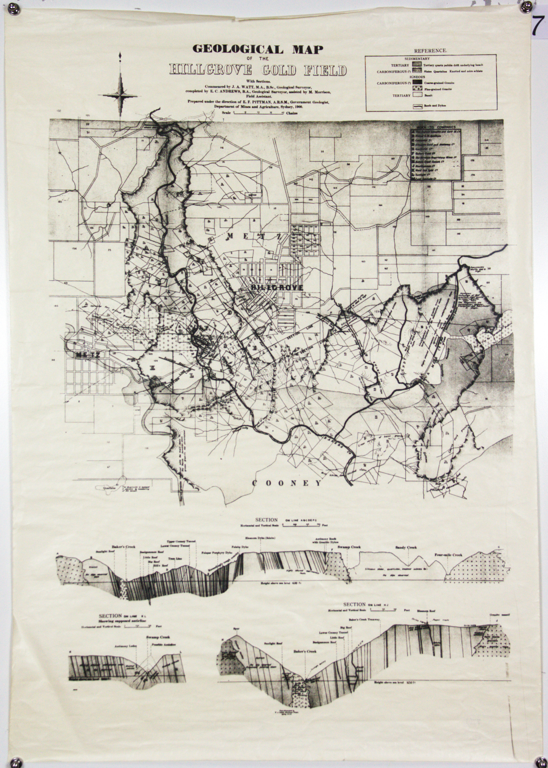 Geological map of Hillgrove Gold Field