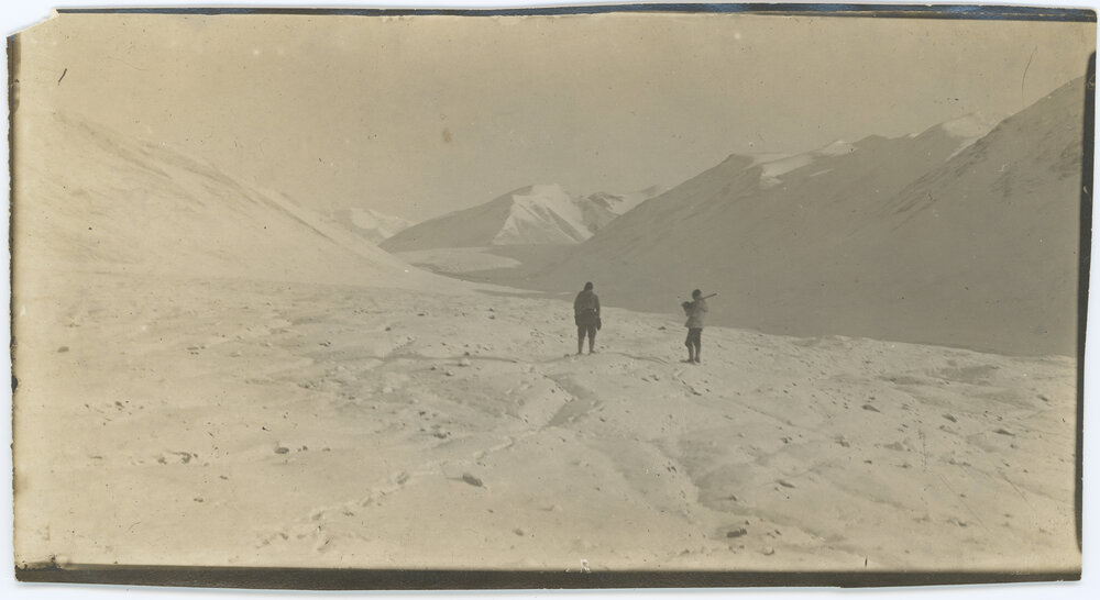 Garwood Glacier after the snowfall