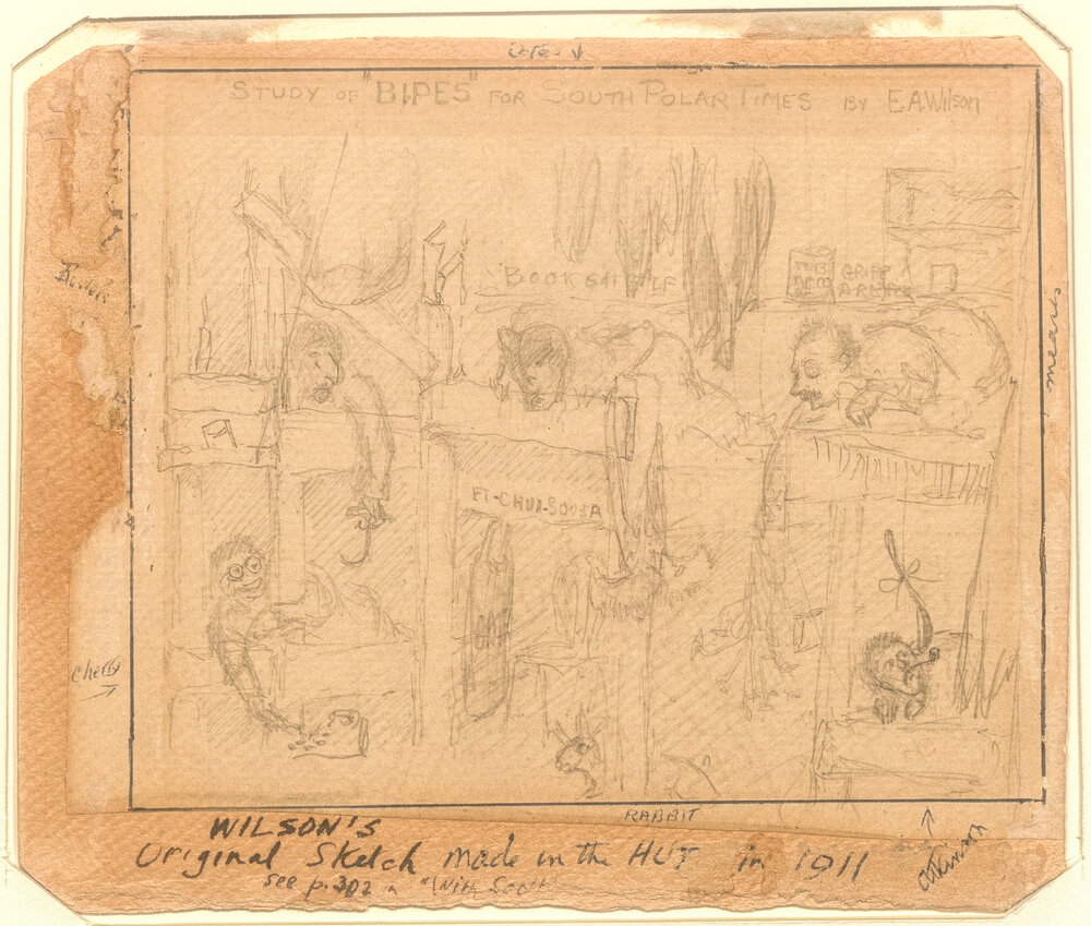 Study of "BIPES" sketched in the Cape Evans Hut, by E.A. Wilson