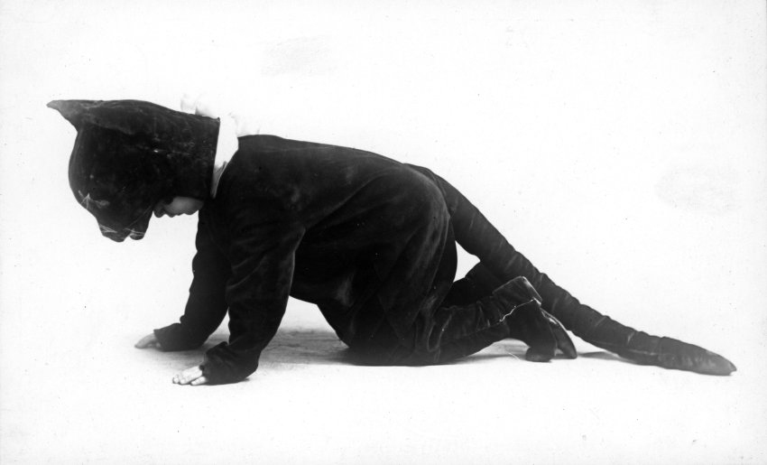 Suzanne White as the Cheshire Cat