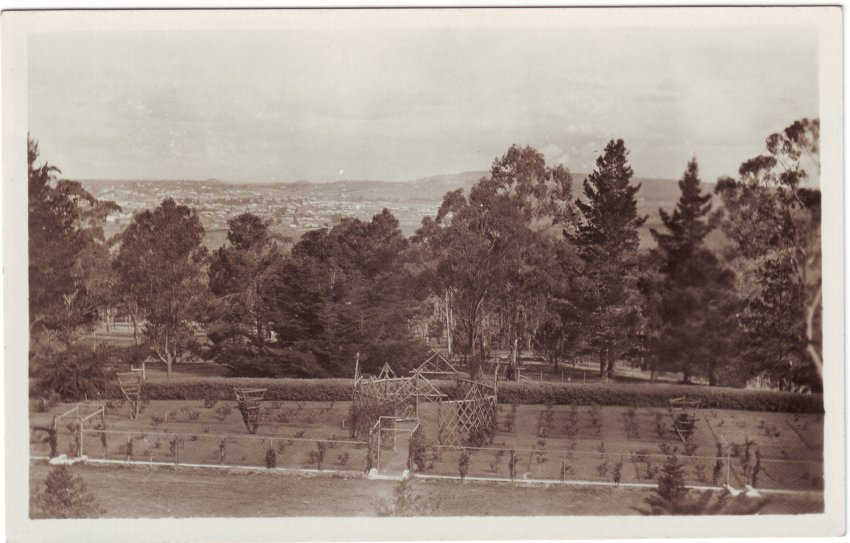 Booloominbah rose garden