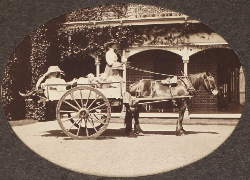 [Three women, two lambs and a horse go riding]