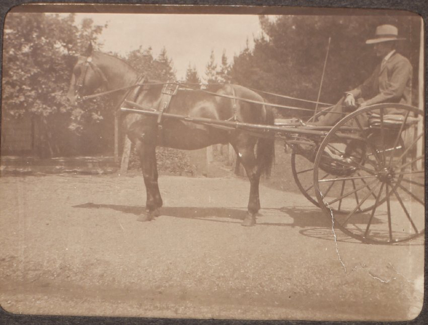 [Pony &amp; trap, Saumarez]