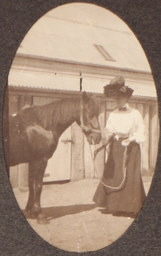 [Horse and women at Saumarez stables]