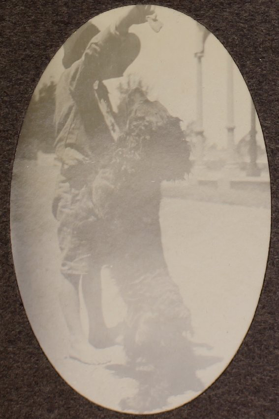 [Playiong with Doggy]