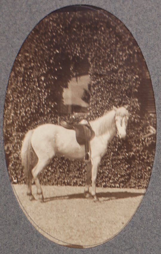 [White Horse at Saumarez]