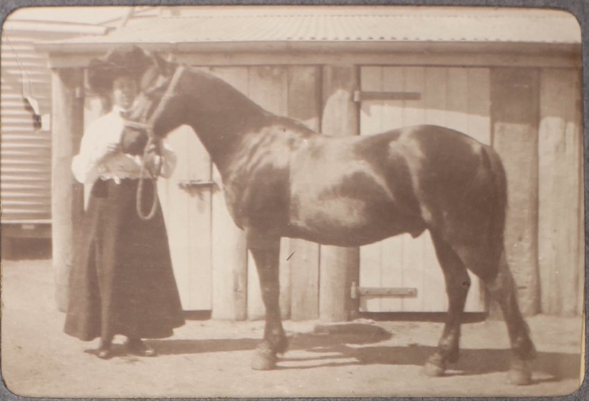 [Women and Horse, Saumarez]