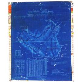 Plan of portion 20: resumed area. By C.Mills