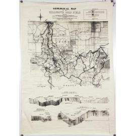 Geological map of Hillgrove Gold Field