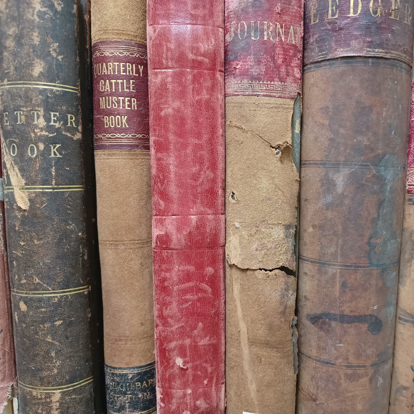 Yugilbar Station Records, 1859 - 1948