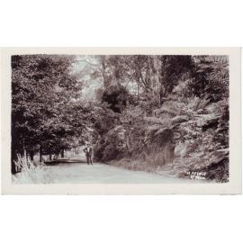The Avenue, Mt Wilson