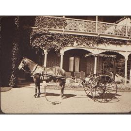 [A horse and trap]