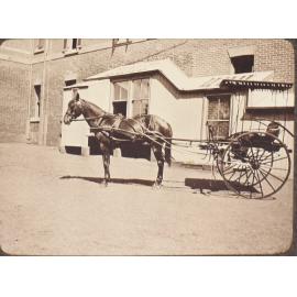 [A horse and trap]