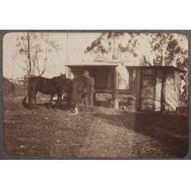 [A man and three horses]