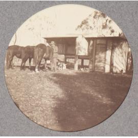 Man and three horses