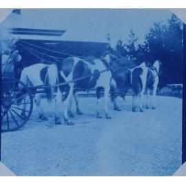 Four in hand, 1