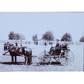 'Adam and [B...] horses, buggy and driver