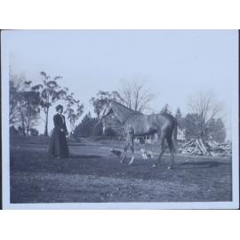 Unidentified woman standing with horse