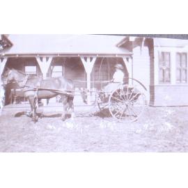 Unidentified woman in a buggy